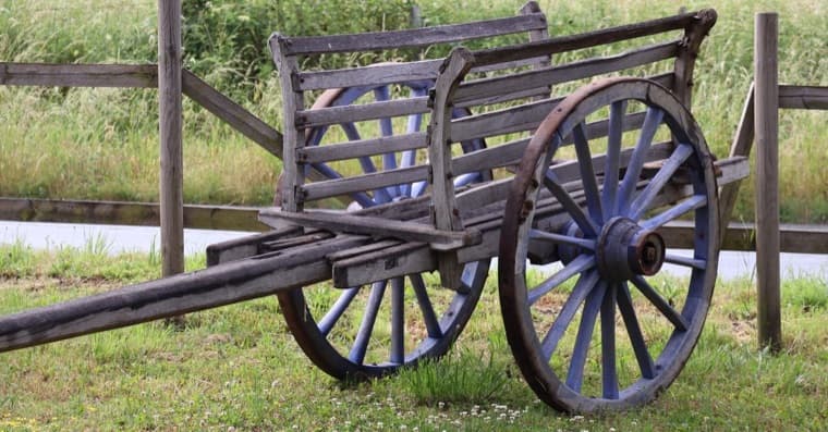 The wheel